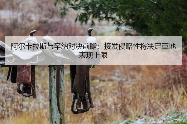 a-er-ka-la-si-yu-xin-na-dui-jue-qian-zhan-jie-fa-qin-lve-xing-jiang-jue-ding-cao-di-biao-xian-shang-xian-2-523.jpg