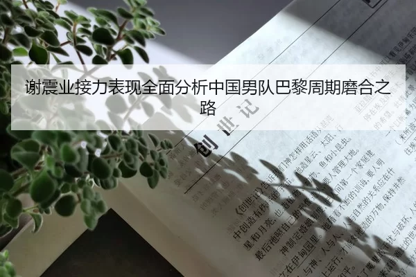 谢震业接力表现全面分析中国男队巴黎周期磨合之路