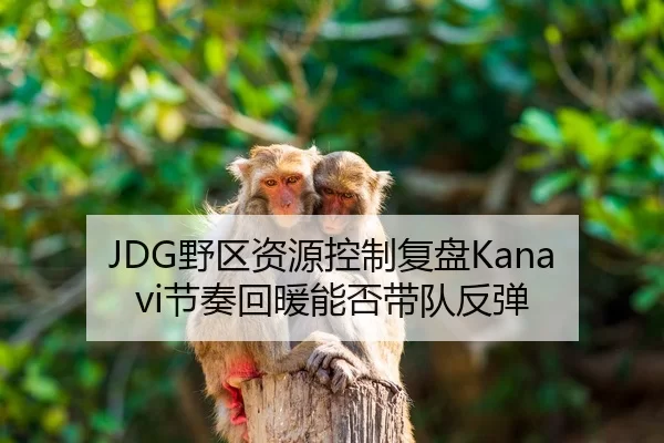 JDG野区资源控制复盘Kanavi节奏回暖能否带队反弹