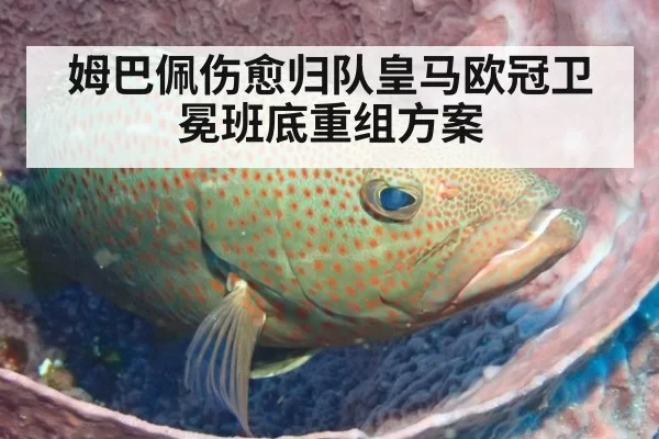 姆巴佩伤愈归队皇马欧冠卫冕班底重组方案